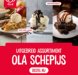 Ontdek het uitgebreide assortiment OLA-schepijs