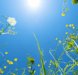 Stichting Lucrum wenst u een fijne zomer.